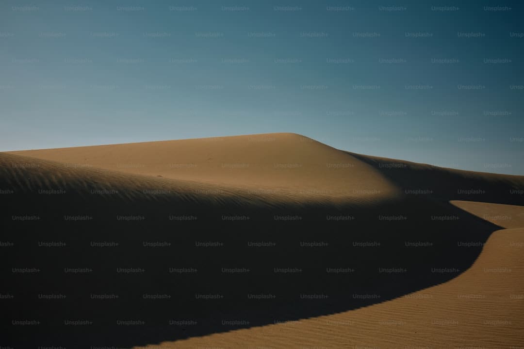 摇滚乐队ELLEGARDEN动画《海贼王》的全新主题曲